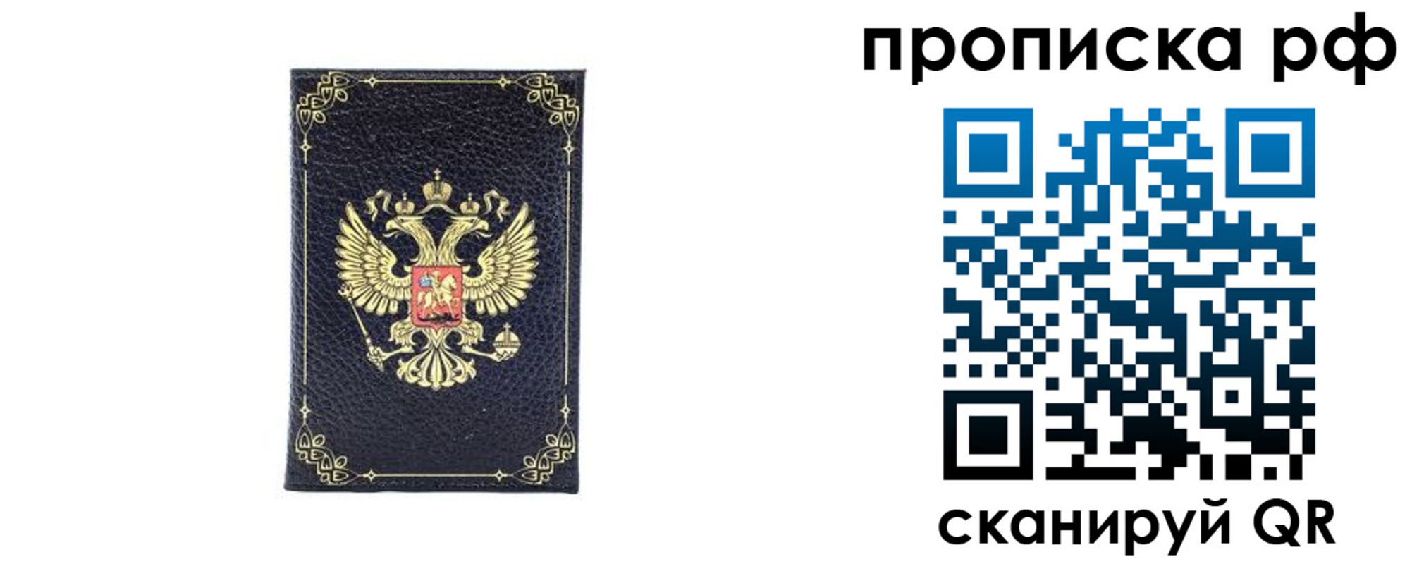 прописка для школы в Михайловке
